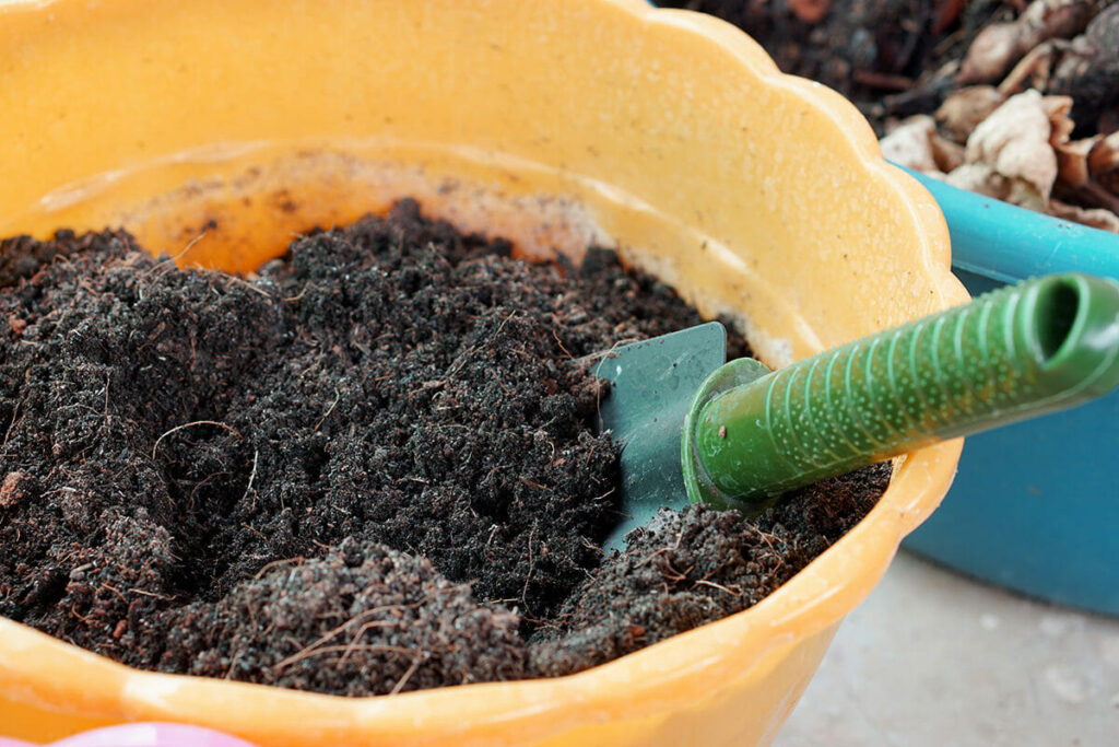 Composting: Feeding the Soil, Naturally: